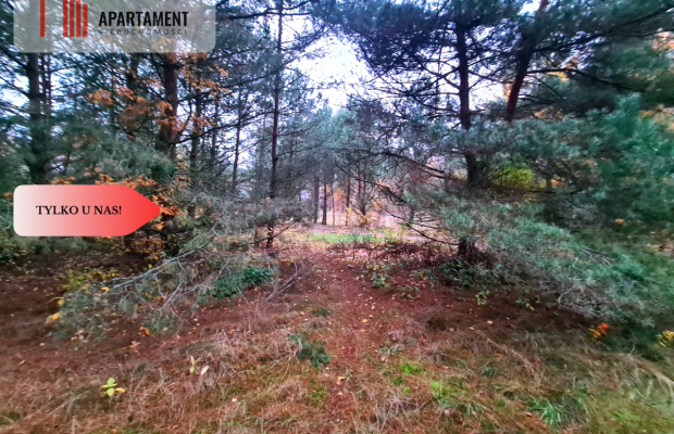 Tylko u nas!!Działka w okolicy lasów i jezior!!!