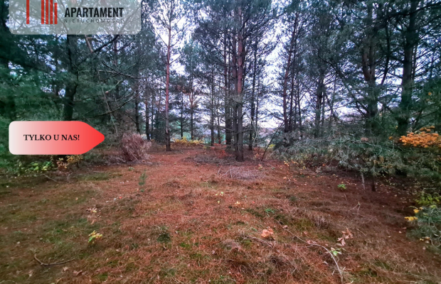 Tylko u nas!!Działka w okolicy lasów i jezior!!!