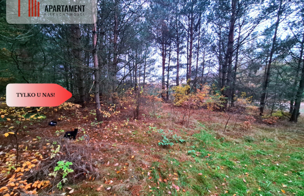 Tylko u nas!!Działka w okolicy lasów i jezior!!!