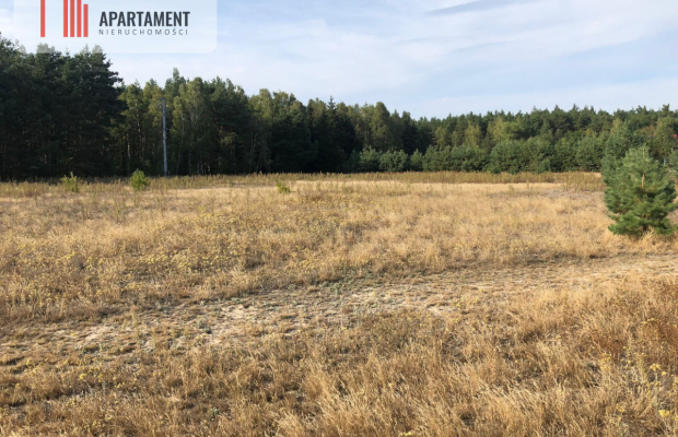 Tylko u nas ! Duża działka ze ściana lasu !