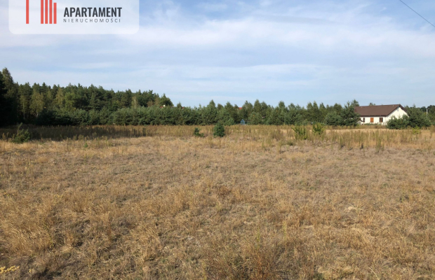 Tylko u nas ! Duża działka ze ściana lasu !