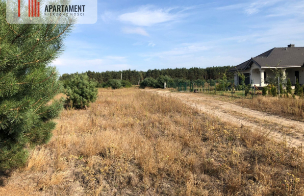 Tylko u nas ! Duża działka ze ściana lasu !