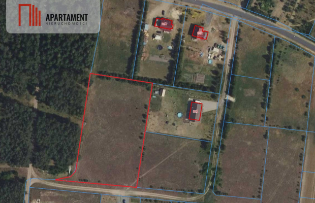 Tylko u nas ! Duża działka ze ściana lasu !