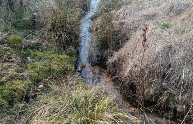 Działka nad jeziorem, z własnym strumykiem