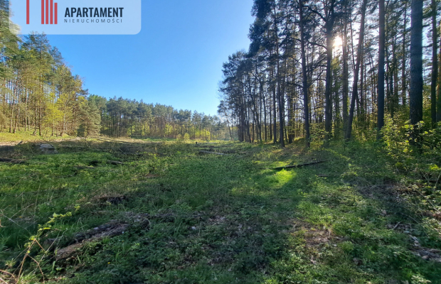 Działka nad jeziorem, z własnym strumykiem