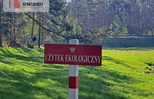 Działka nad jeziorem, z własnym strumykiem