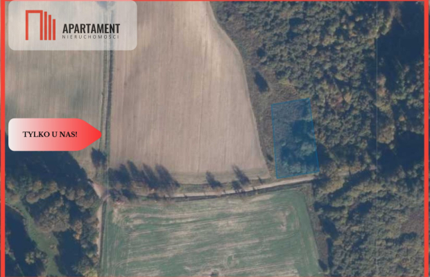 TYLKO U NAS! Duża działka, blisko lasu!