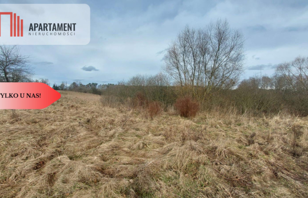 TYLKO U NAS! Duża działka, blisko lasu!