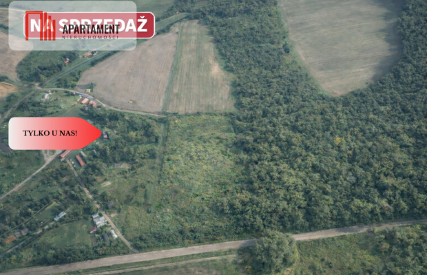 TYLKO U NAS! Duża działka, blisko lasu!
