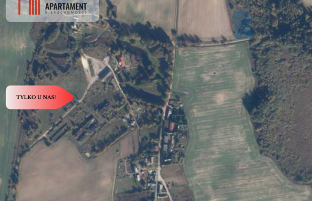 TYLKO U NAS! Duża działka, blisko lasu!