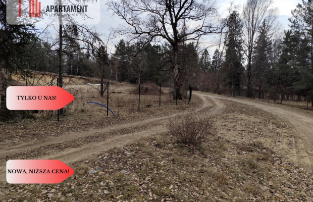 Duża działka nad jeziorem, warunki zabudowy.