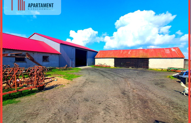 Gospodarstwo rolne. Gmina Sośno