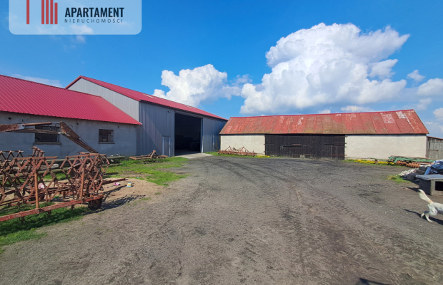 Gospodarstwo rolne. Gmina Sośno