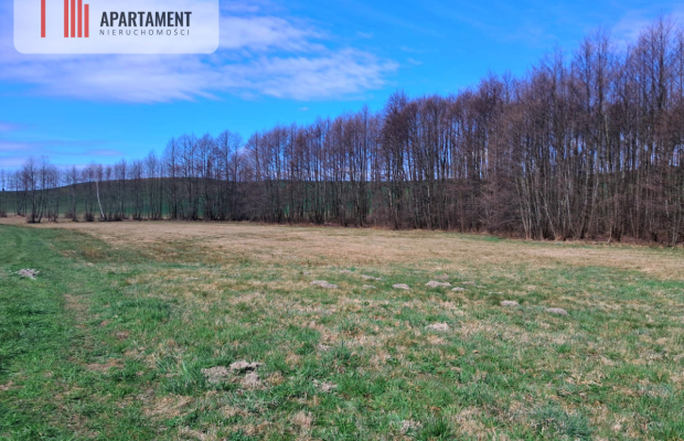 Działka rolna z widokiem na jezioro