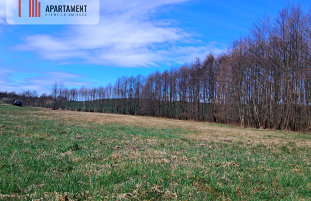 Działka rolna z widokiem na jezioro