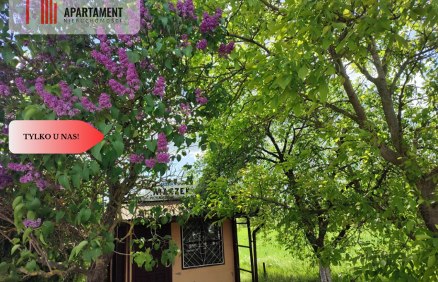 *Działka usług-mieszkaniowa przy asfalcie  MEDIA!!