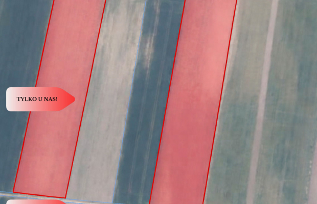 Działki rolne Wielki Wełcz blisko Grudziądz