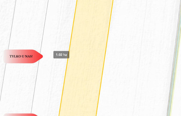 Działki rolne Wielki Wełcz blisko Grudziądz