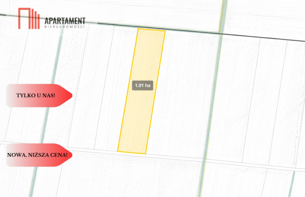 Działki rolne Wielki Wełcz blisko Grudziądz