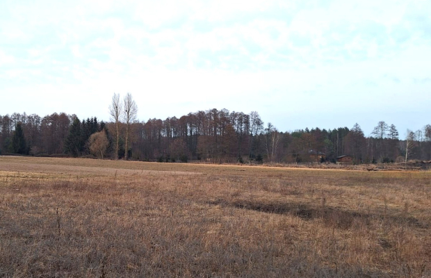 Kornelin: Gotowa Działka 1500m2 z Projektem