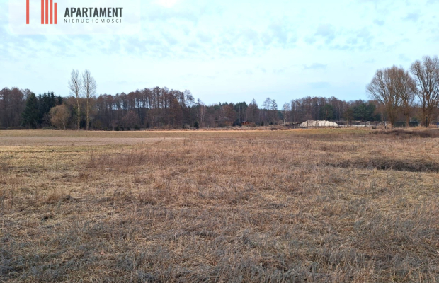 Kornelin: Gotowa Działka 1500m2 z Projektem