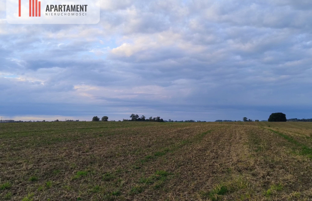 Działka w Borkowicach-bliskość morza