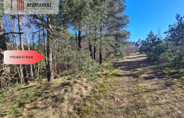 Przedsprzedaż! Działka budowlana w Stężycy!!