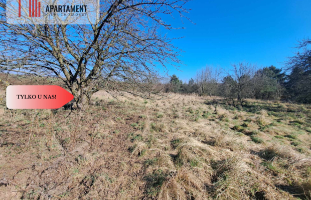 Działka budowlana/mpzp/Lubiąż!
