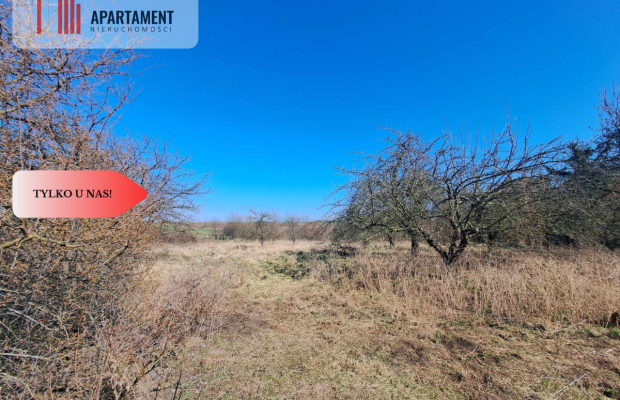 Działka budowlana/mpzp/Lubiąż!