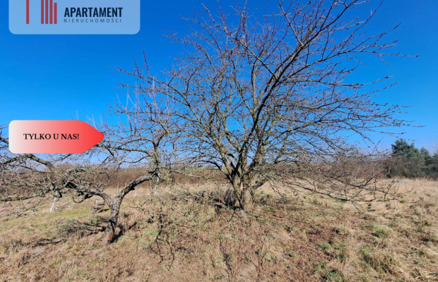 Działka budowlana/mpzp/Lubiąż!