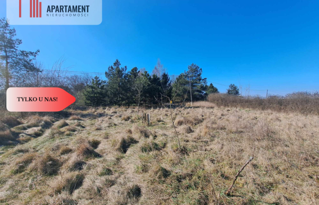 Działka budowlana/mpzp/Lubiąż!