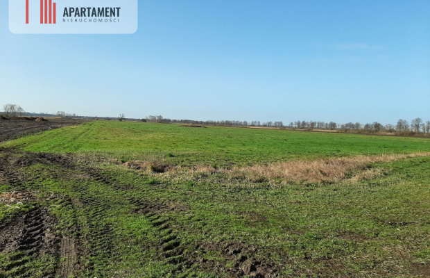 Działki w Nowym Kompleksie