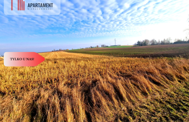 TYLKO U NAS! Miejsce na Twój wymarzony dom!