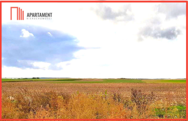 Inwestycja - działka prz trasie