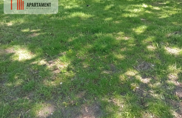 Inwestycja - działka prz trasie