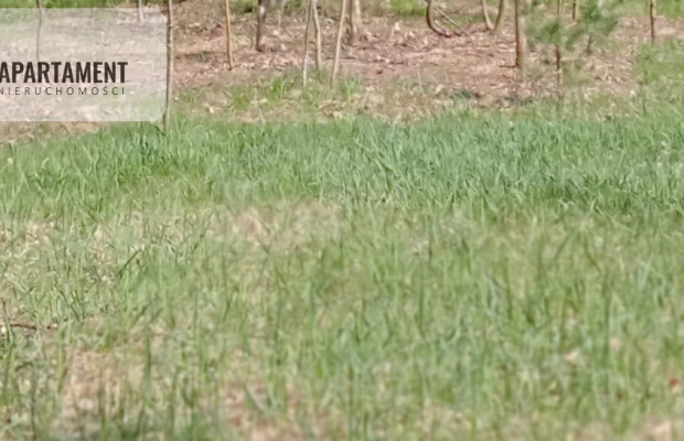 Inwestycja - działka prz trasie