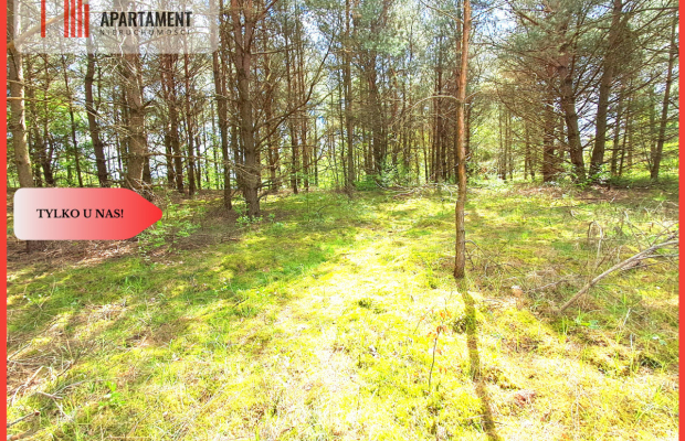 Działka nad jeziorem !Z warunkami zabudowy!!