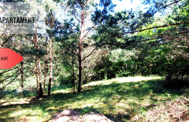 Działka nad jeziorem !Z warunkami zabudowy!!