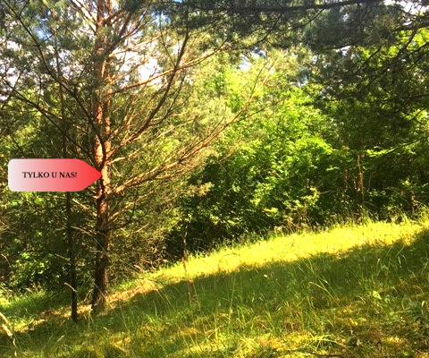 Działka nad jeziorem !Z warunkami zabudowy!!