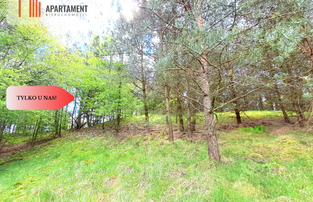 Działka nad jeziorem !Z warunkami zabudowy!!