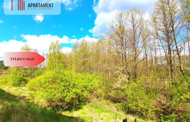 Działka nad jeziorem !Z warunkami zabudowy!!