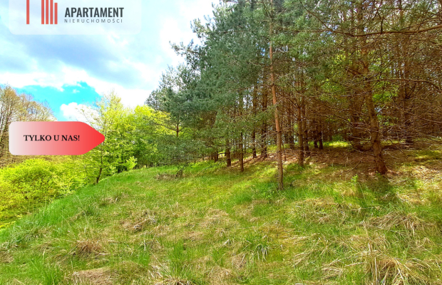 Działka nad jeziorem !Z warunkami zabudowy!!