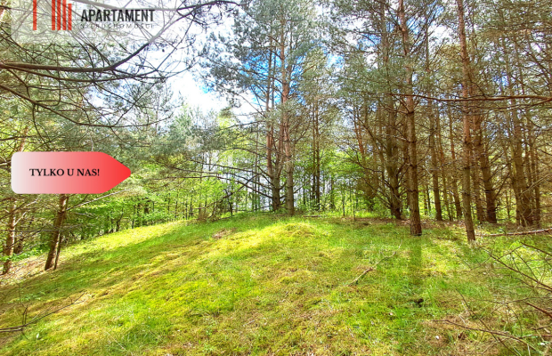 Działka nad jeziorem !Z warunkami zabudowy!!