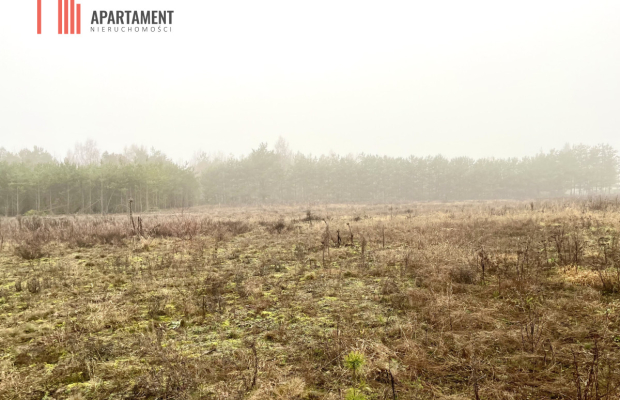 Działki z WZ Żołędowo