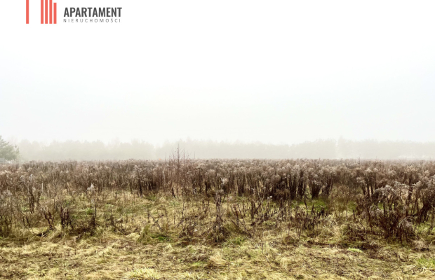 Działki z WZ Żołędowo