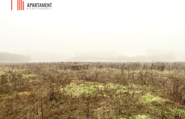 Działki z WZ Żołędowo