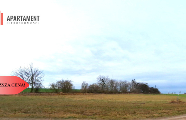 Brzyskorzystew: Działka 2540 m² + WZ