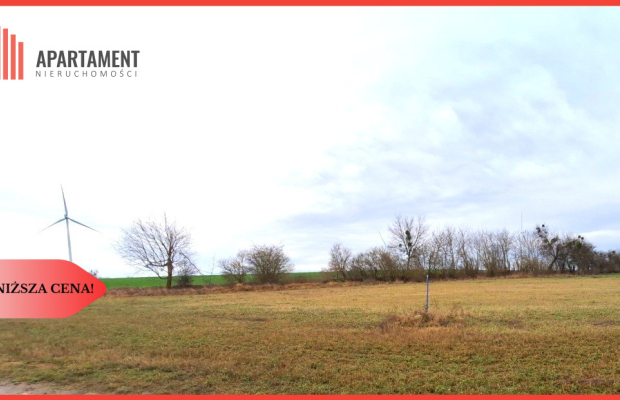 Brzyskorzystew: Działka 2540 m² + WZ