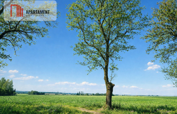 Działki z wydanymi warunkami zabudowy.