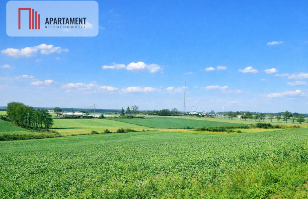 Działki z wydanymi warunkami zabudowy.